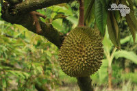 IMG_2912.jpg
