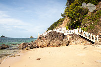 IMG_6566.jpg