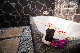 684C0375.jpg