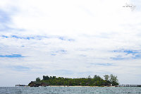 IMG_7172.jpg