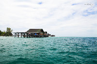 IMG_7177.jpg