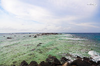 IMG_6749.jpg