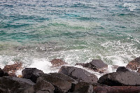 IMG_6754.jpg
