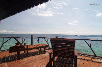 IMG_4035.jpg