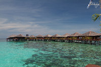 IMG_4144.jpg