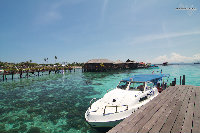 IMG_4145.jpg