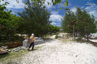 IMG_0985.jpg