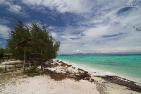 IMG_0988.jpg