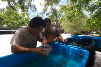 IMG_0991.jpg