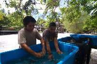 IMG_0992.jpg