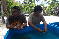 IMG_0993.jpg