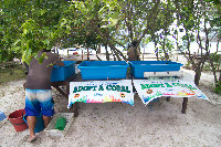 IMG_0995.jpg