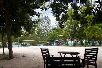 IMG_1020.jpg
