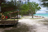 IMG_1033.jpg