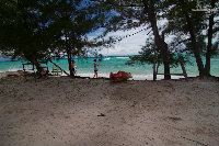 IMG_1051.jpg