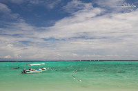 IMG_1057.jpg