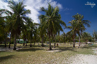IMG_1060.jpg
