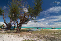 IMG_1064.jpg