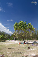 IMG_1066.jpg