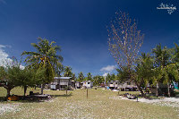IMG_1067.jpg