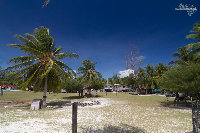 IMG_1069.jpg