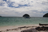 IMG_1075.jpg