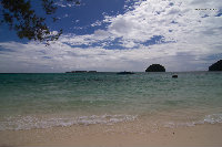 IMG_1081.jpg