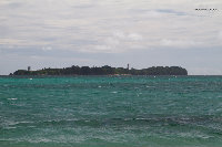 IMG_1092.jpg