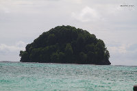 IMG_1095.jpg