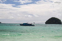 IMG_1098.jpg