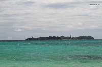 IMG_1101.jpg
