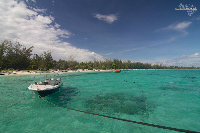 IMG_1105.jpg
