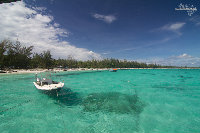 IMG_1106.jpg