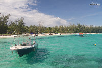 IMG_1107.jpg