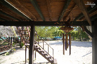 IMG_1121.jpg