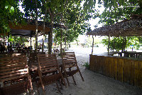 IMG_1133.jpg