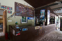 IMG_1137.jpg