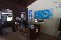 IMG_1138.jpg