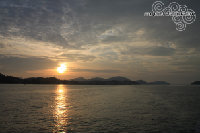 IMG_4565.jpg