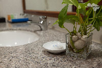 IMG_1892.jpg