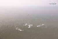 IMG_1964.jpg