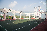 IMG_2272.jpg