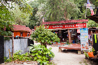 IMG_2494.jpg