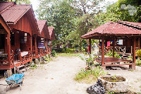 IMG_2505.jpg
