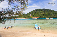 IMG_2272.jpg