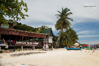IMG_2385.jpg