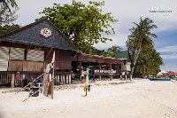 IMG_2387.jpg