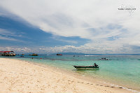 IMG_2393.jpg