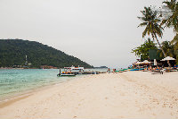IMG_2429.jpg