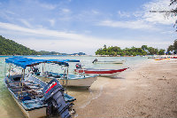 IMG_2286.jpg